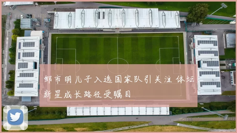 邹市明儿子入选国家队引关注 体坛新星成长路径受瞩目