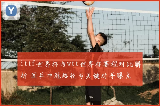 ittf世界杯与wtt世界杯赛程对比解析 国乒冲冠路径与关键对手曝光