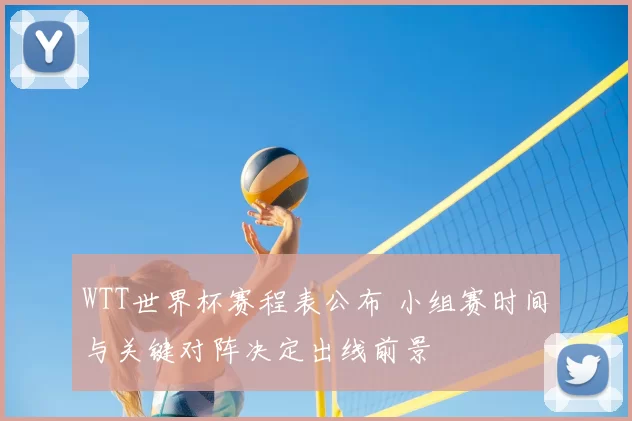 WTT世界杯赛程表公布 小组赛时间与关键对阵决定出线前景